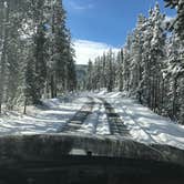 Review photo of Madison Campground — Yellowstone National Park by Shariah T., June 4, 2019
