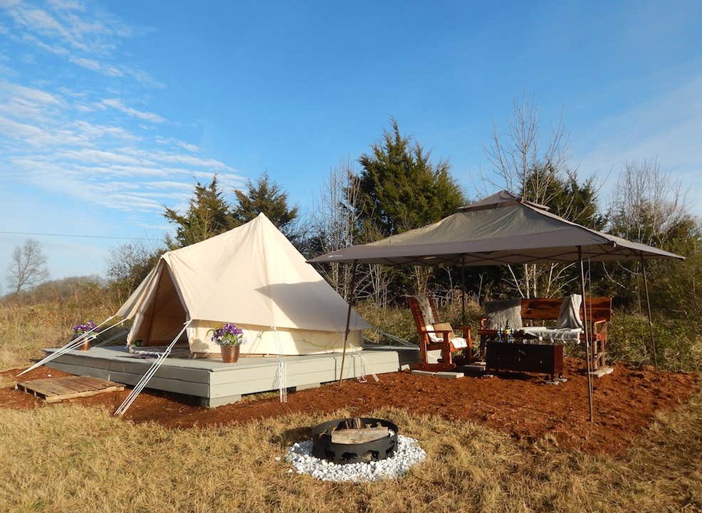 sandy S.'s photo at The Wandering Llamas near Greeneville, TN