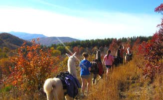 sandy S.'s photo of camping with a horse at The Wandering Llamas near Milligan College, TN