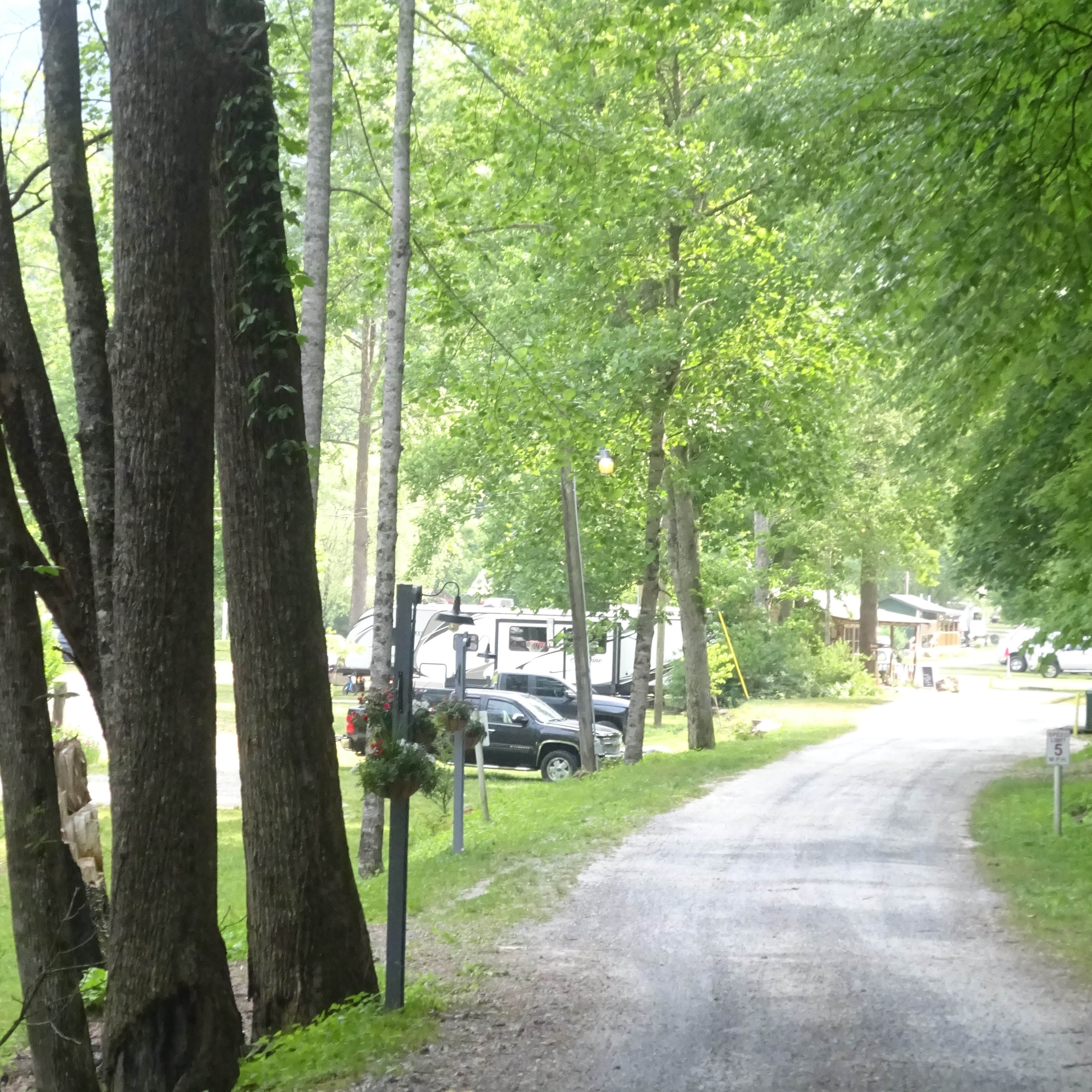 Camper submitted image from Mountain River Family Campground - 2