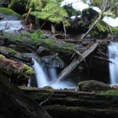 Review photo of Trillium Lake by Eva W., September 1, 2015