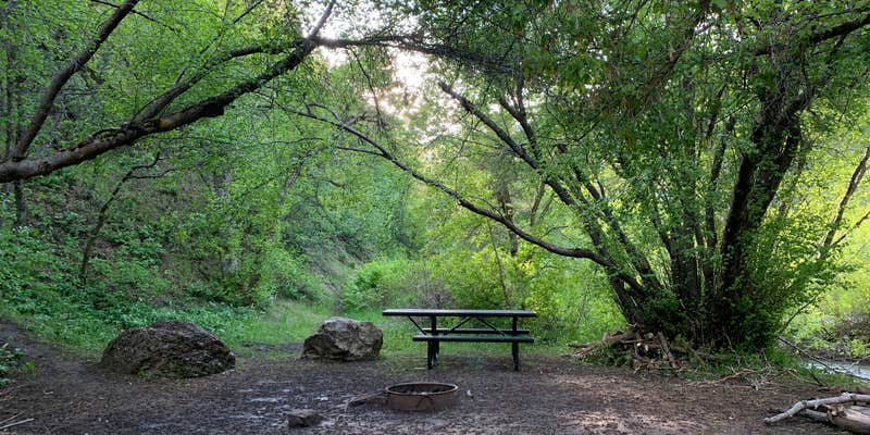 Camper submitted image from Pioneer Campground (Ut) — Uinta Wasatch Cache National Forest
