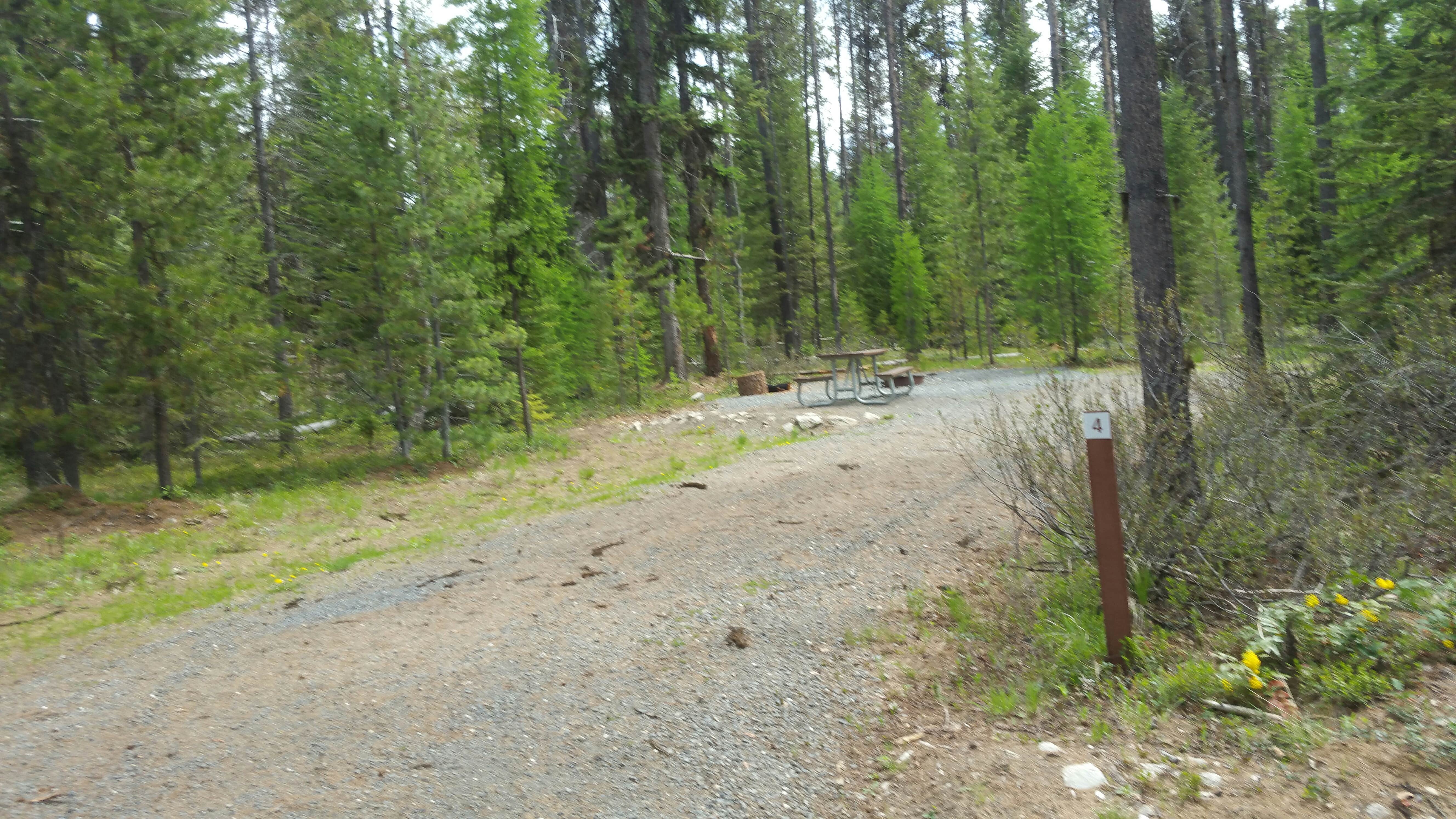 Camper submitted image from Sherry Creek Campground  - 4
