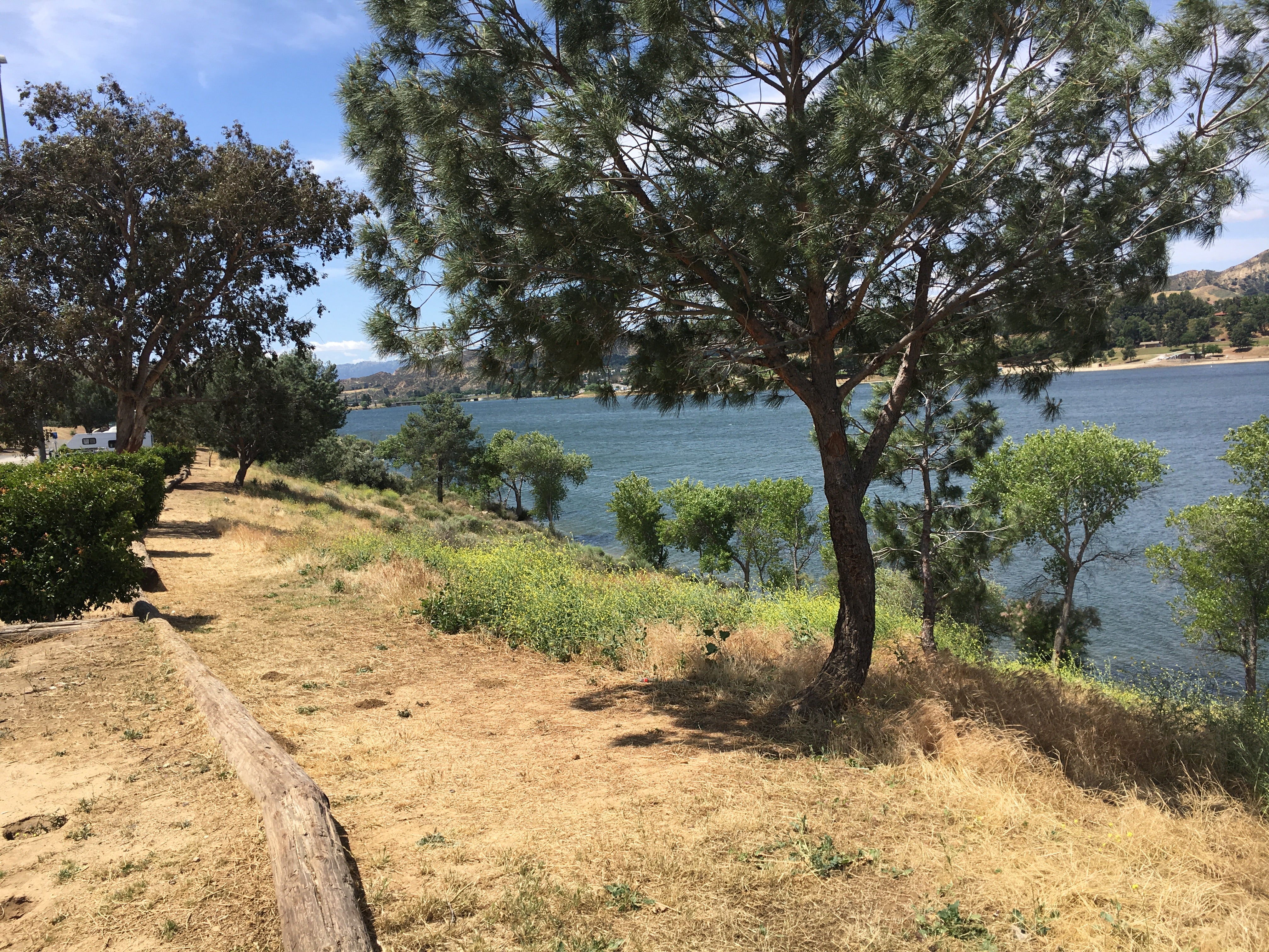 Camper submitted image from Castaic Lake State Recreation Area - 4