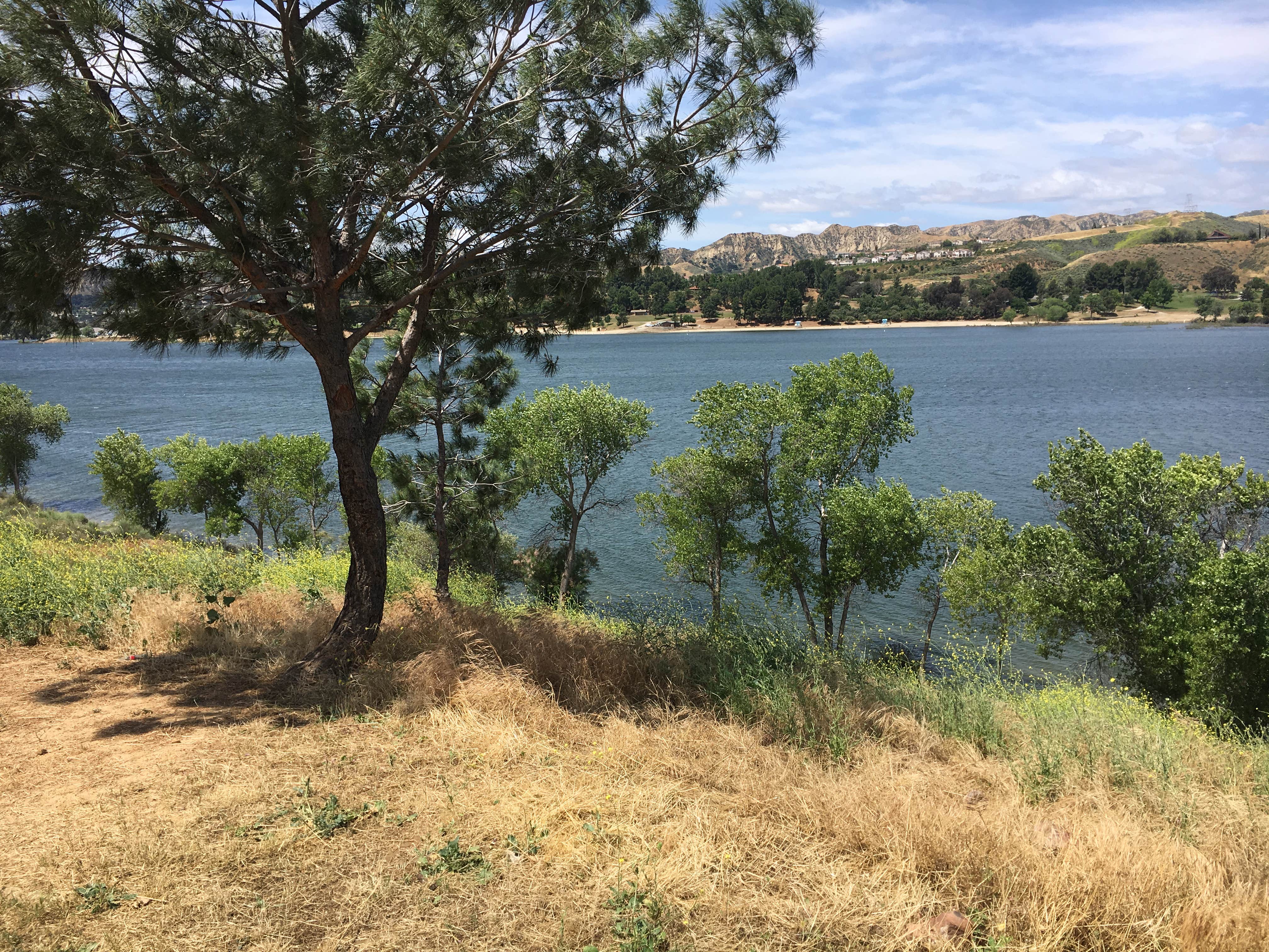 Camper-submitted photo at Castaic Lake State Recreation Area near Lancaster, CA