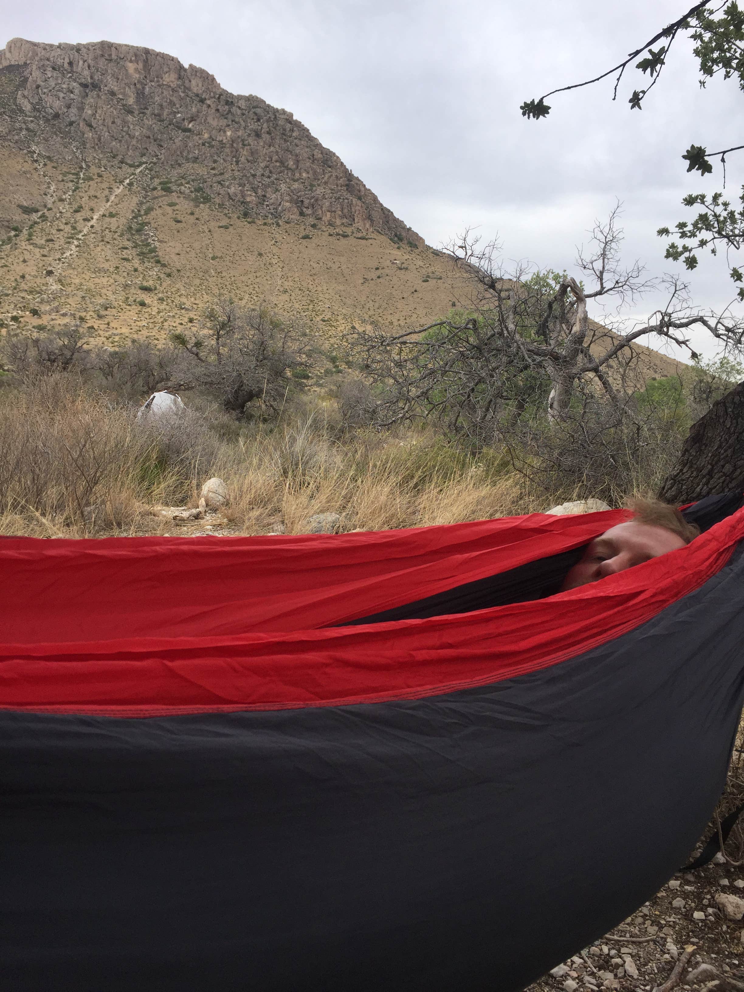 Camper submitted image from Pine Springs Campground — Guadalupe Mountains National Park - 4