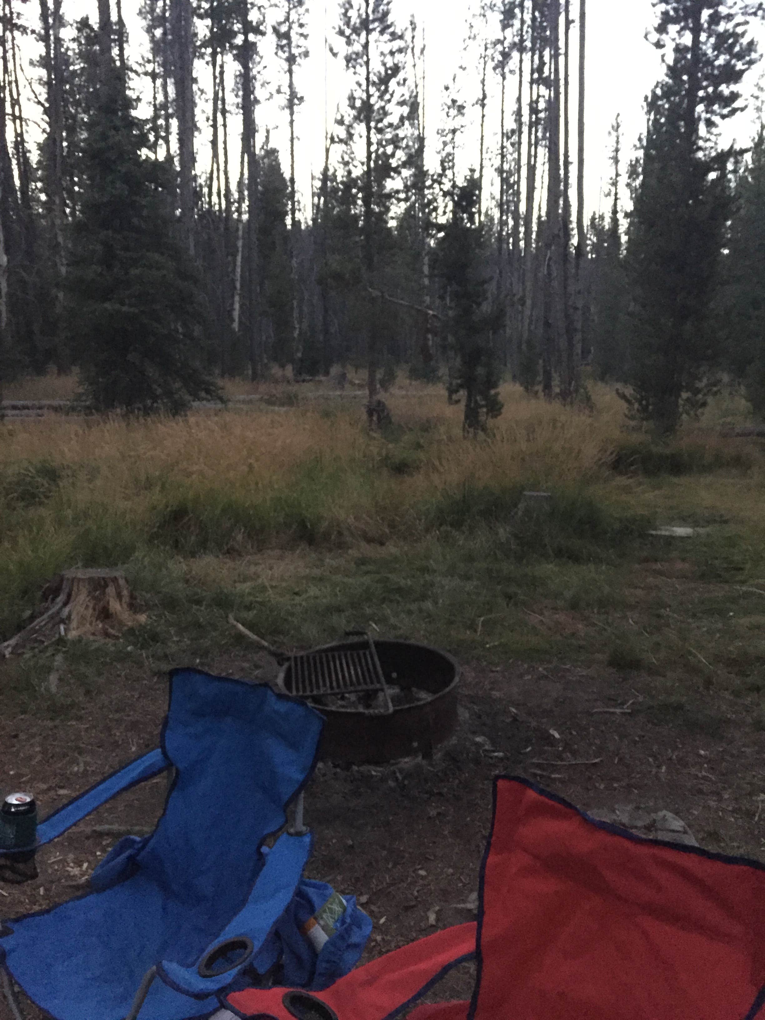 C O.'s photo at Iron Creek Campground near Stanley, ID
