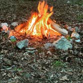 Review photo of Cub Lake Campground #1 — Natchez Trace State Park by Chris L., June 4, 2019