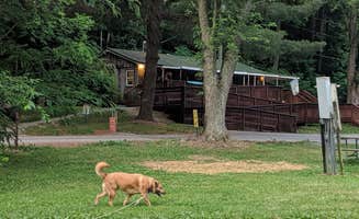Nicholas H.'s photo of camping with pets at Spring Creek Campground near Clarksville, TN