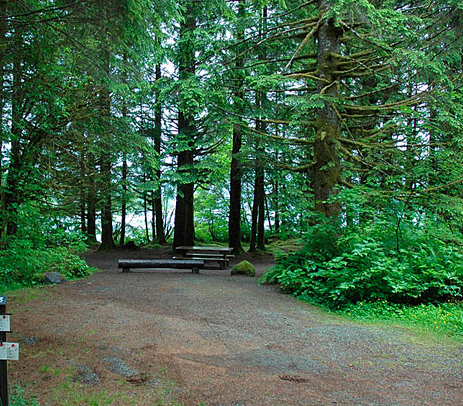 Camper submitted image from Panorama Point Campground - 2