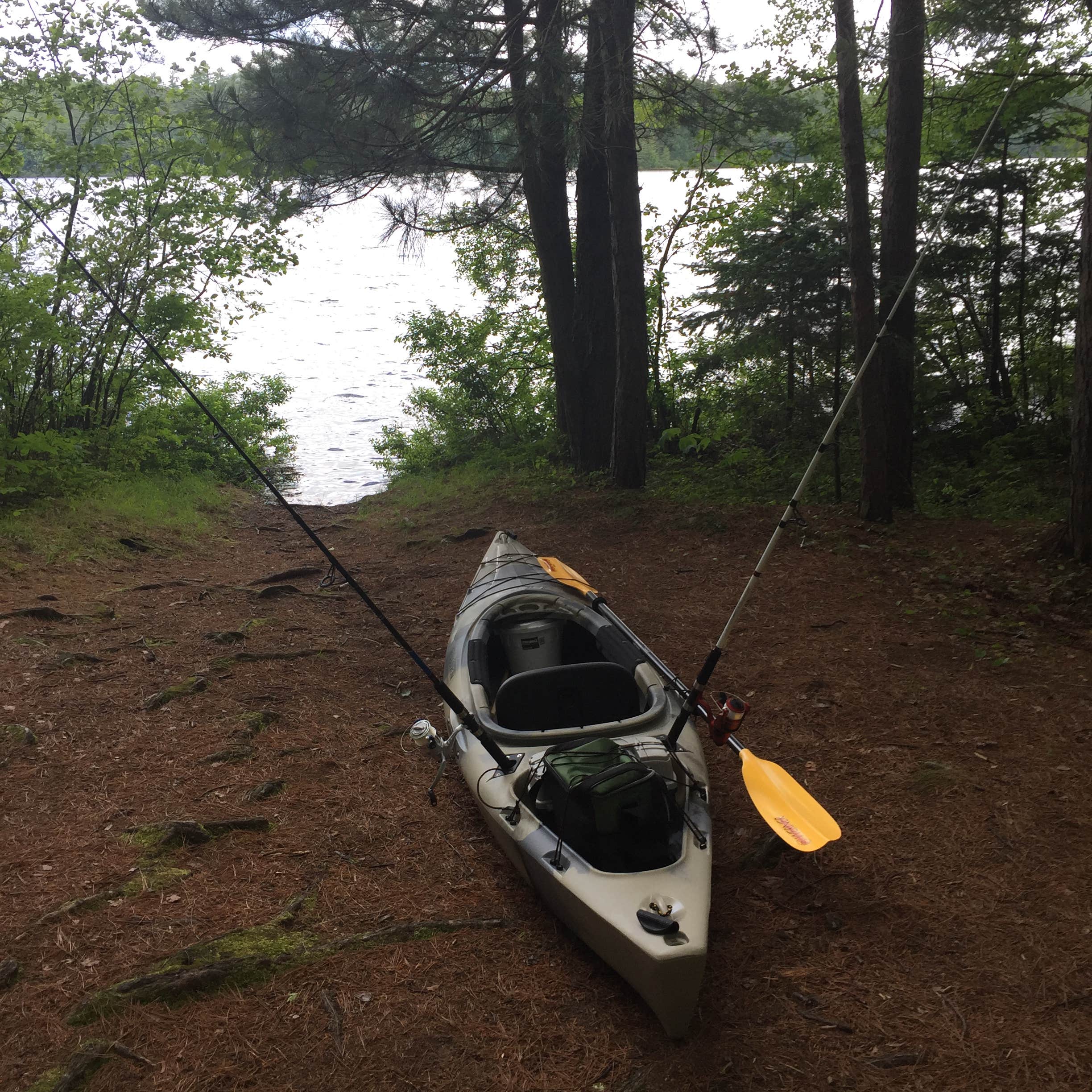 Camper-submitted photo at Rollins Pond Campground near Massena, NY
