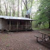 Review photo of Hobbs Cabin Campground — Savage Gulf State Park by Morgan W., June 4, 2019