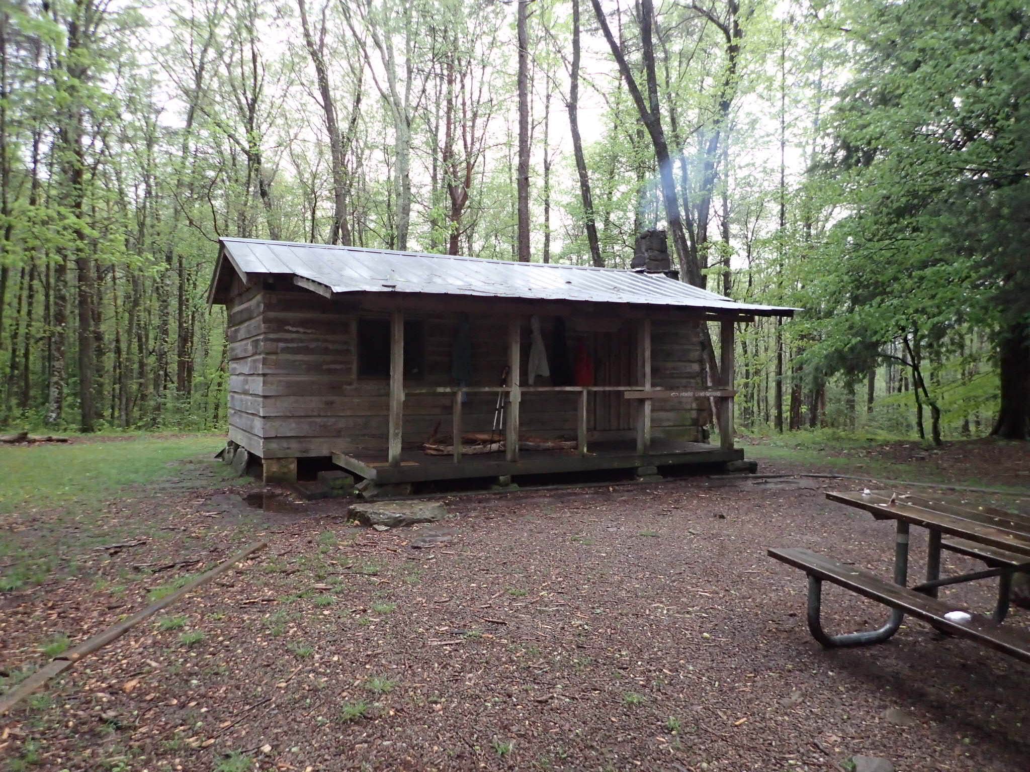 Camper submitted image from Hobbs Cabin Campground — Savage Gulf State Park - 2