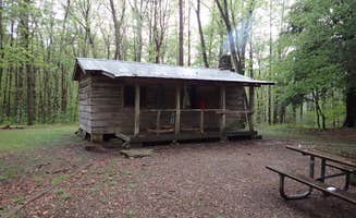 Morgan W.'s photo of a cabin at Hobbs Cabin Campground — Savage Gulf State Park near Shiloh, TN
