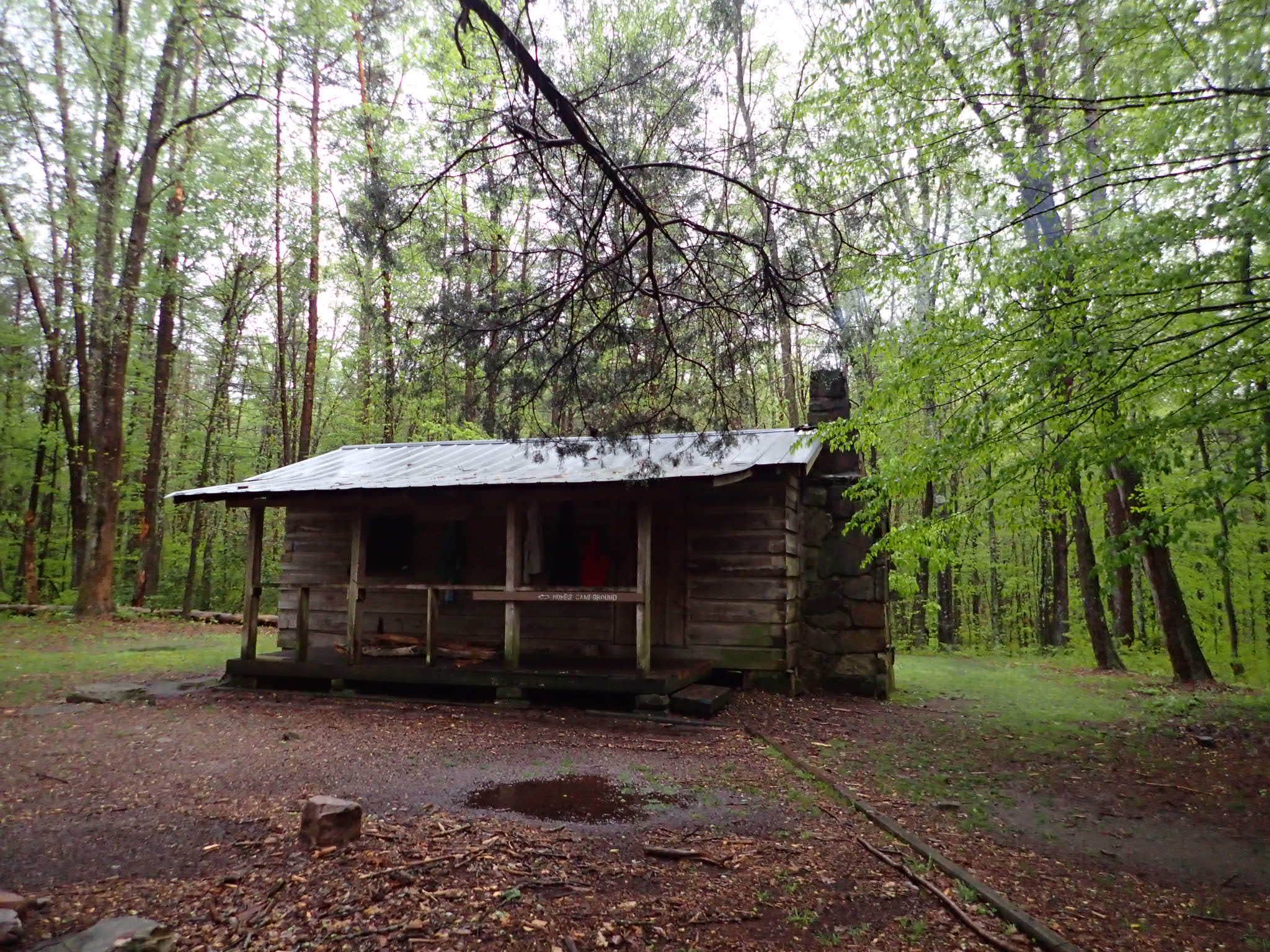 Camper-submitted photo at Hobbs Cabin Campground — Savage Gulf State Park near Pocahontas, TN