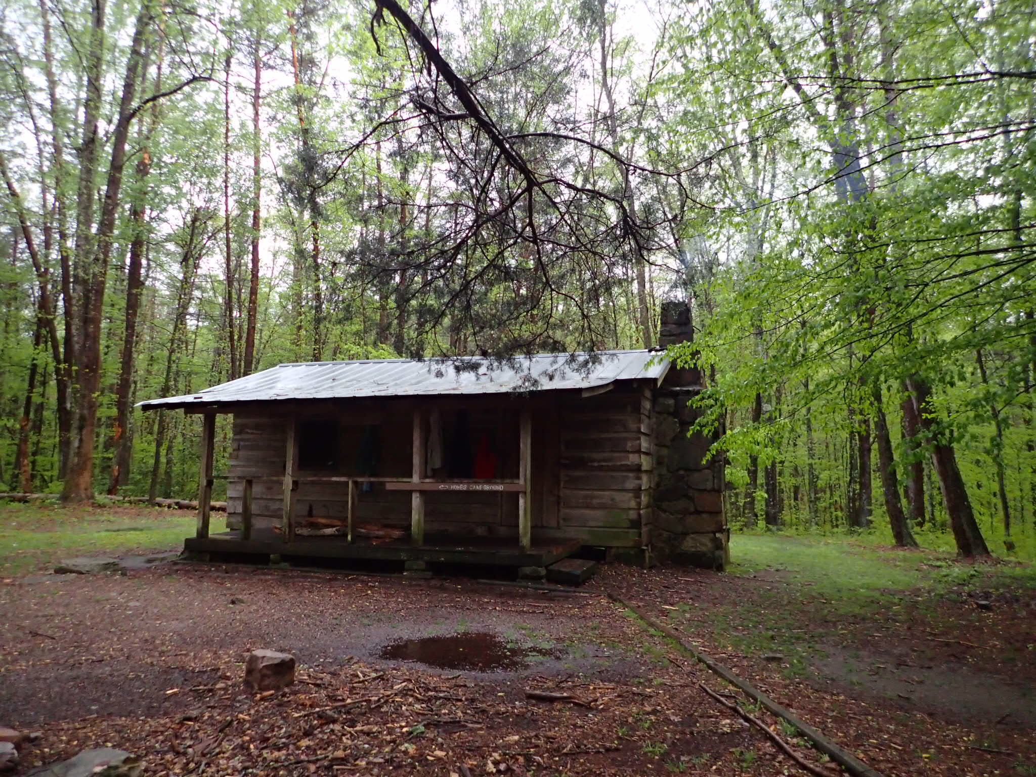 Camper submitted image from Hobbs Cabin Campground — Savage Gulf State Park - 3