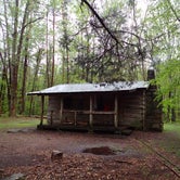 Review photo of Hobbs Cabin Campground — Savage Gulf State Park by Morgan W., June 4, 2019
