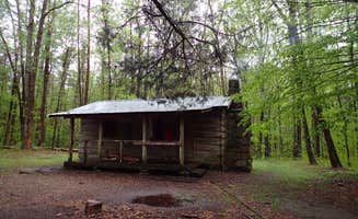 Morgan W.'s photo of a cabin at Hobbs Cabin Campground — Savage Gulf State Park near Gruetli-Laager, TN