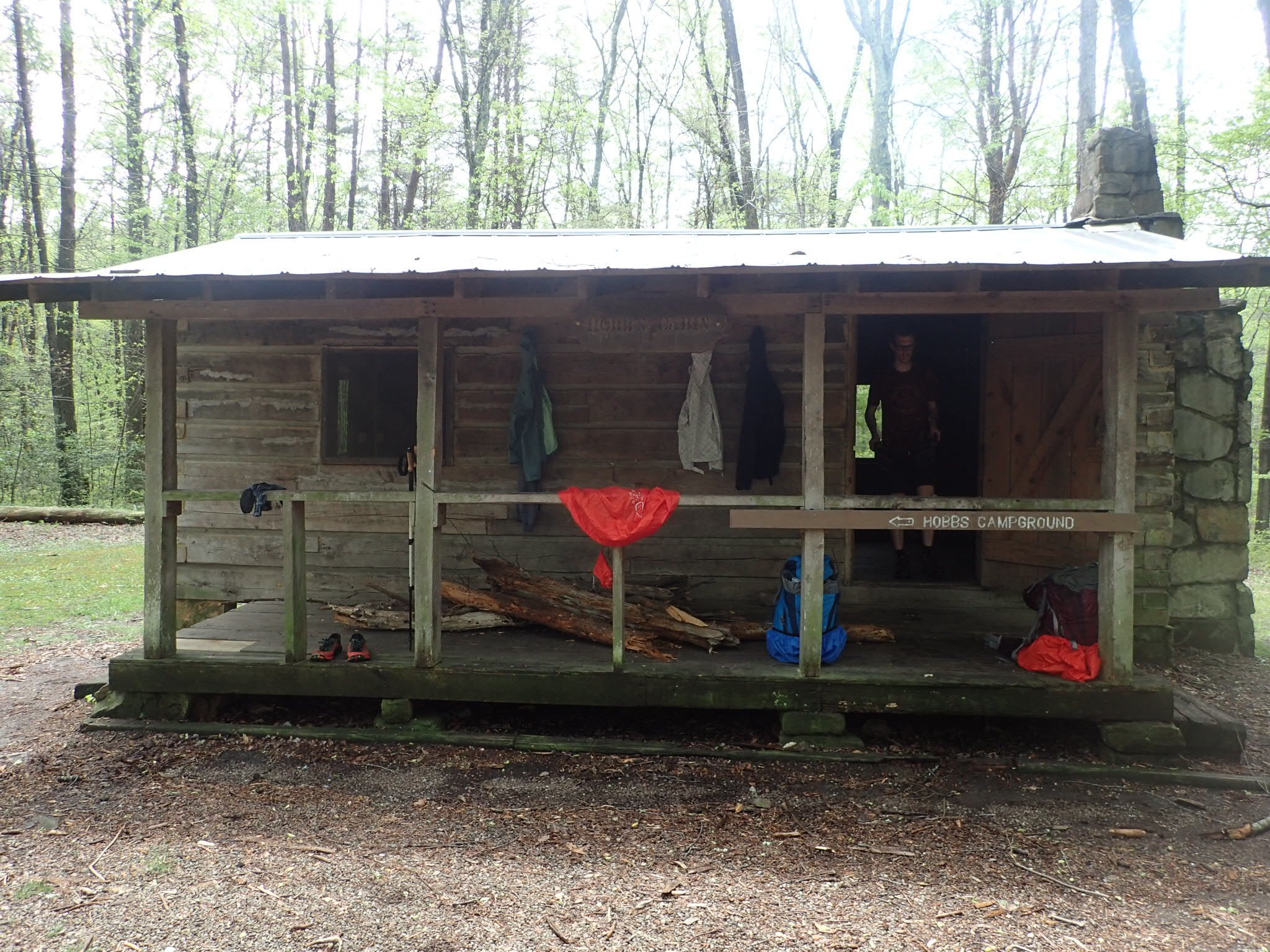 Camper submitted image from Hobbs Cabin Campground — Savage Gulf State Park - 2