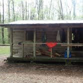 Review photo of Hobbs Cabin Campground — Savage Gulf State Park by Morgan W., June 4, 2019