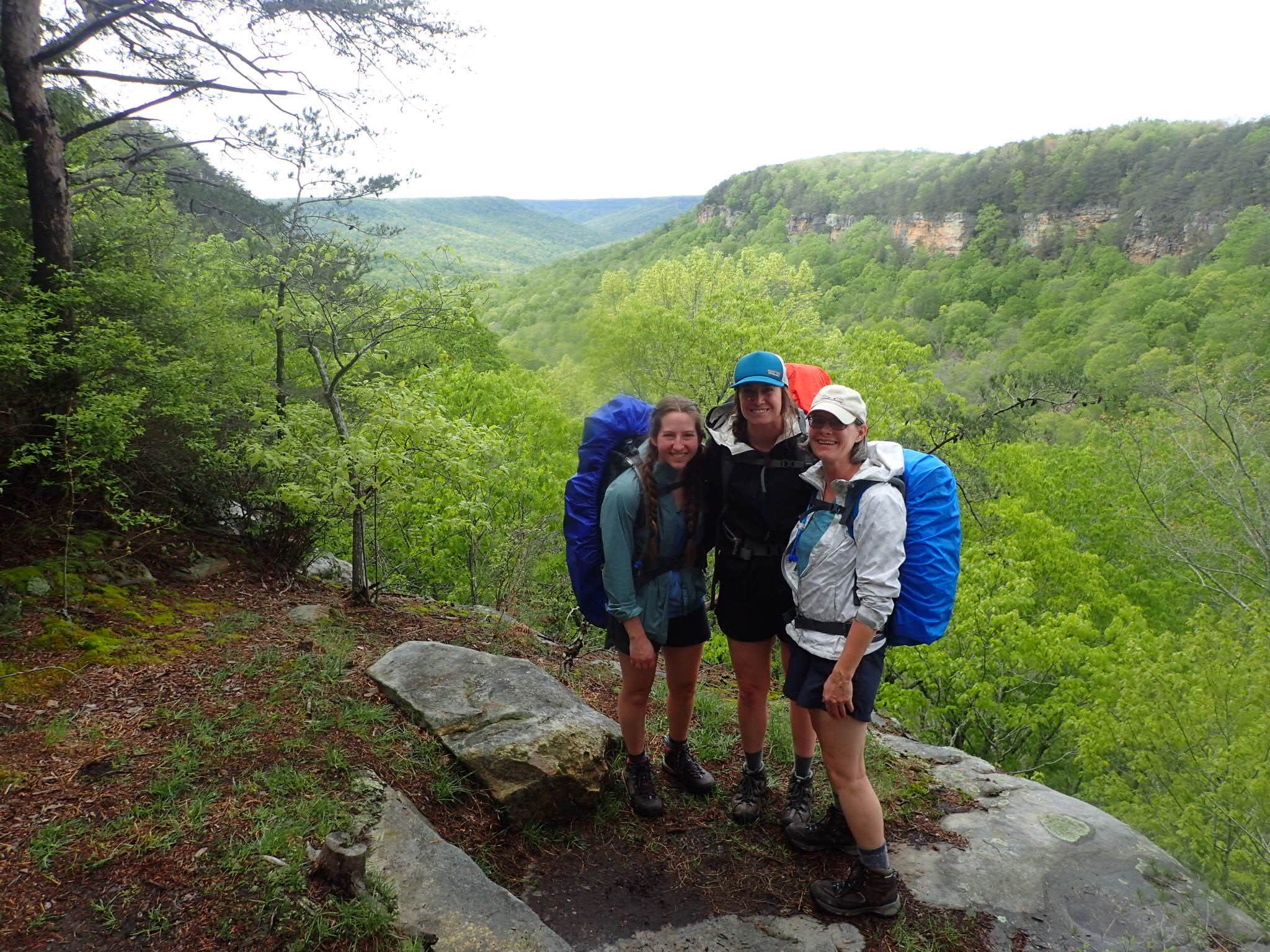 Camper submitted image from Hobbs Cabin Campground — Savage Gulf State Park - 4