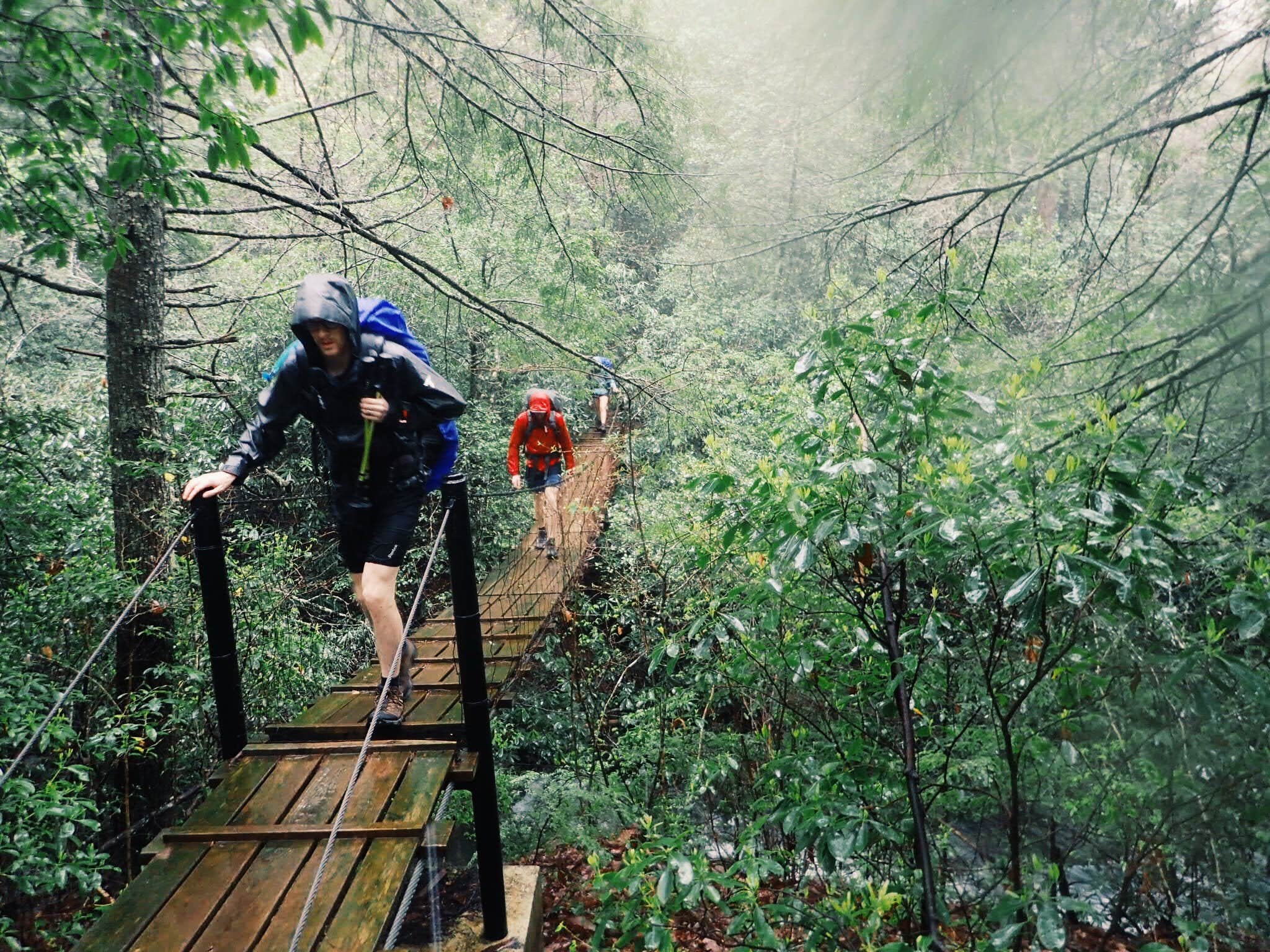 Camper-submitted photo at Hobbs Cabin Campground — Savage Gulf State Park near Pocahontas, TN
