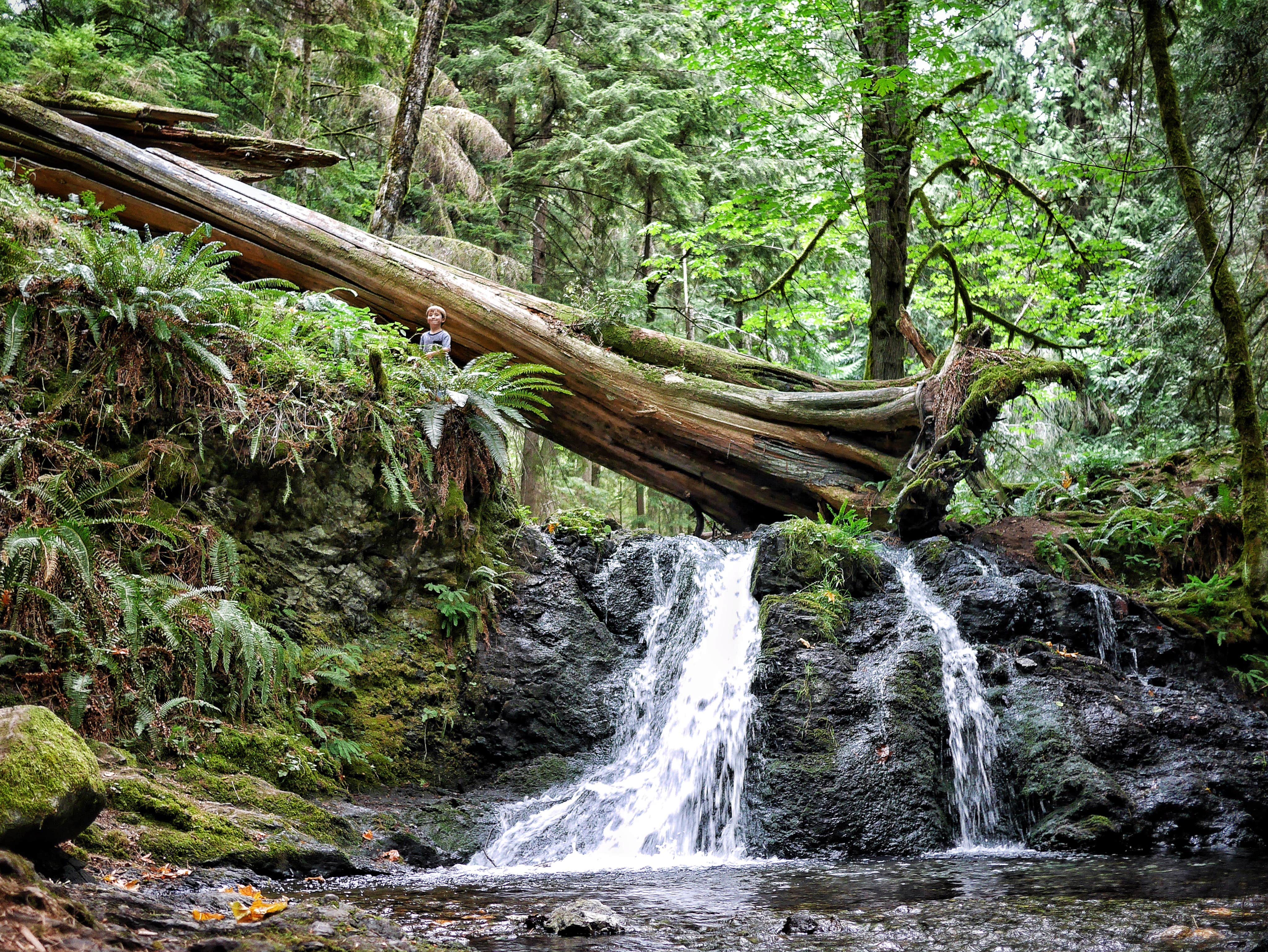 Camper submitted image from Northend Campground — Moran State Park - 3