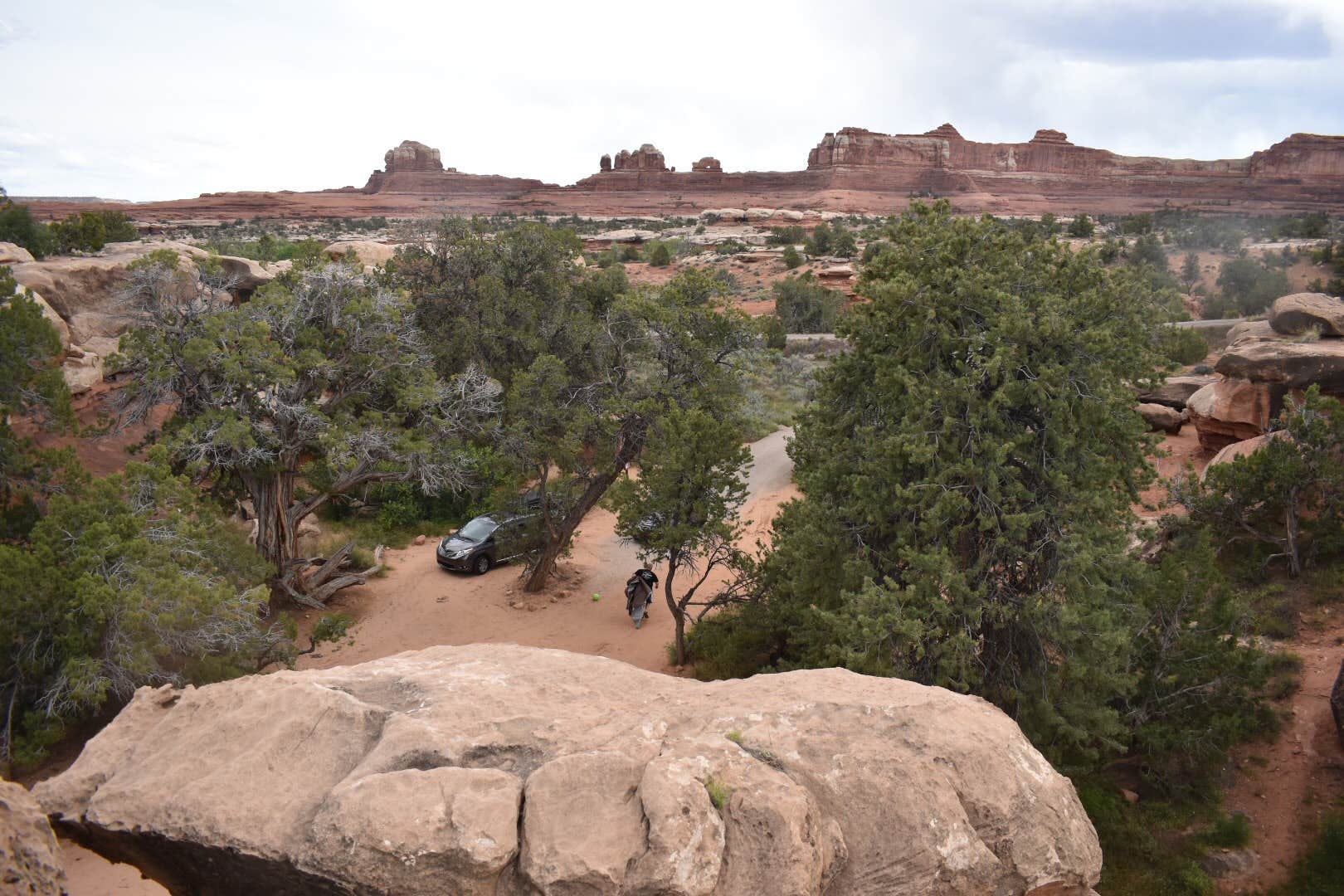 Camper submitted image from Split Top Group Campsite — Canyonlands National Park - 3