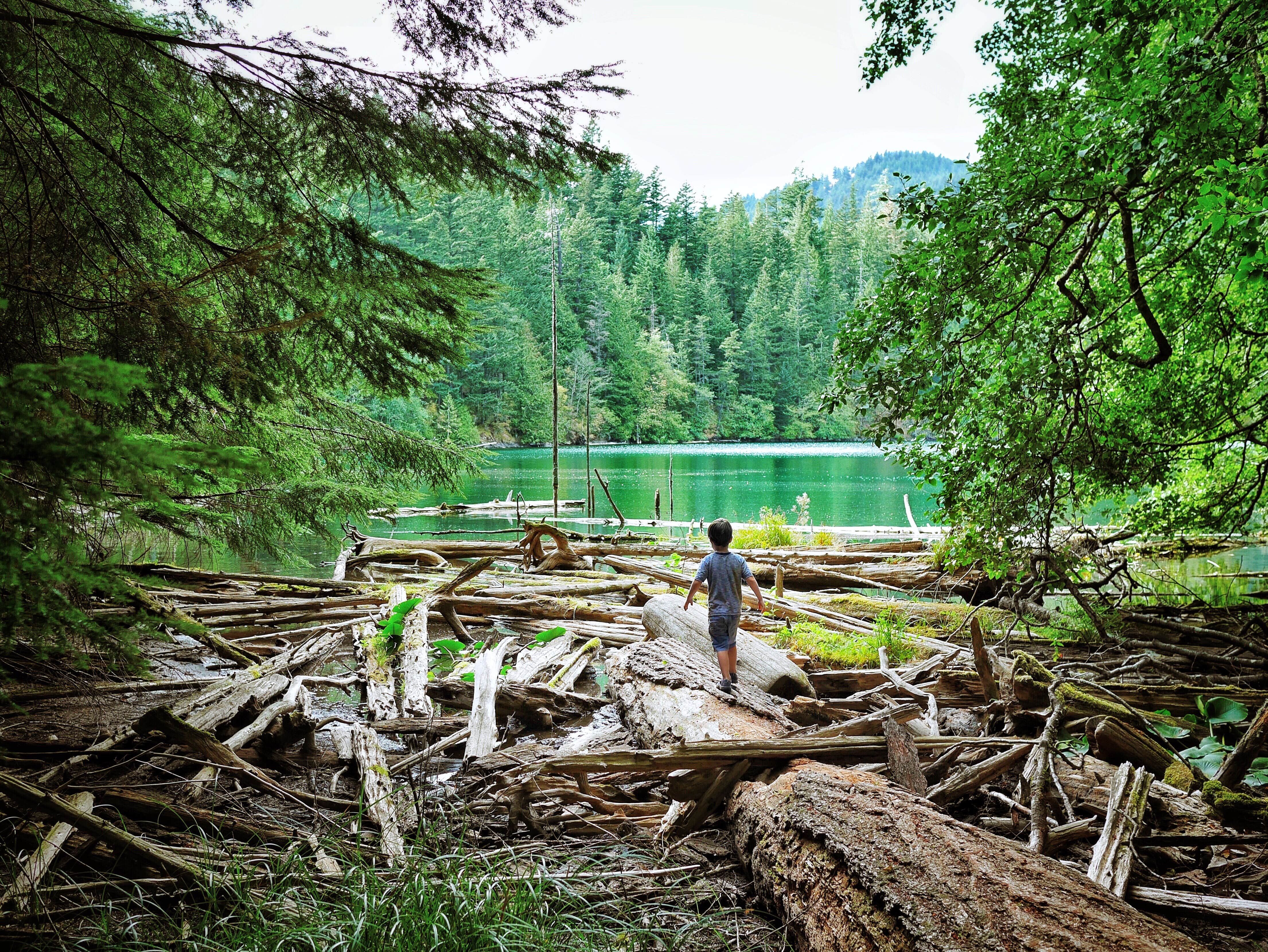 Camper-submitted photo at Northend Campground — Moran State Park near Olga, WA