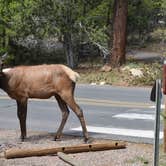 Review photo of Mather Campground — Grand Canyon National Park by Melissa A., June 4, 2019