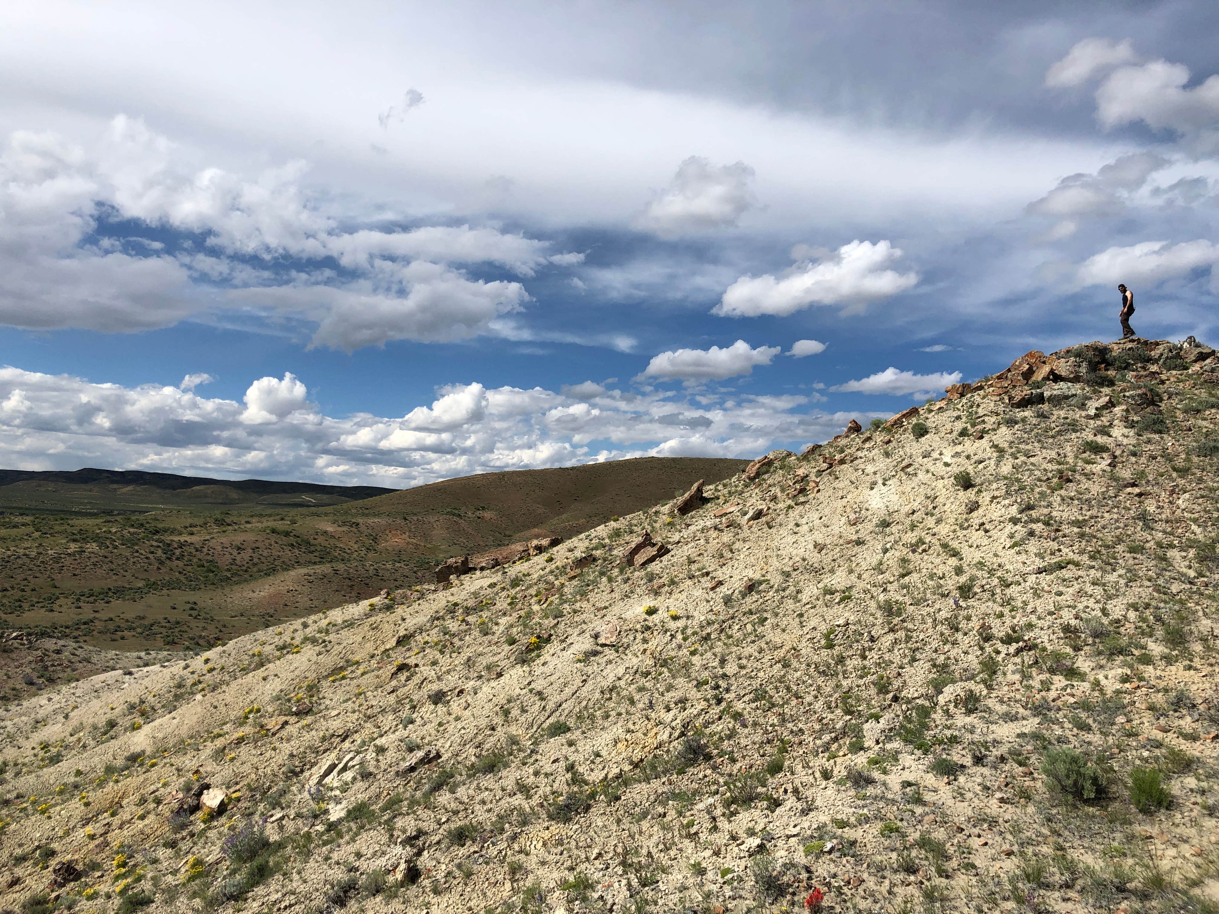 Camper submitted image from Sand Wash Basin - 2