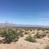 Review photo of Cottonwood Cove Resort RV Park — Lake Mead National Recreation Area by Jessica W., June 4, 2019