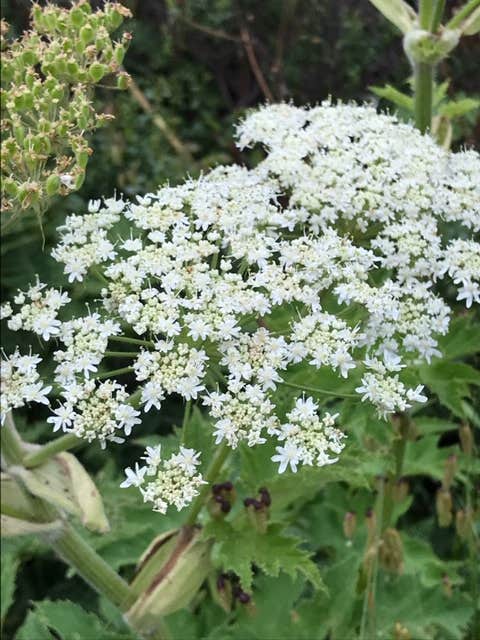 Camper-submitted photo at Westside Regional Park near Bridgehaven, CA