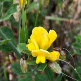 Review photo of Westside Regional Park by Albert S., June 4, 2019