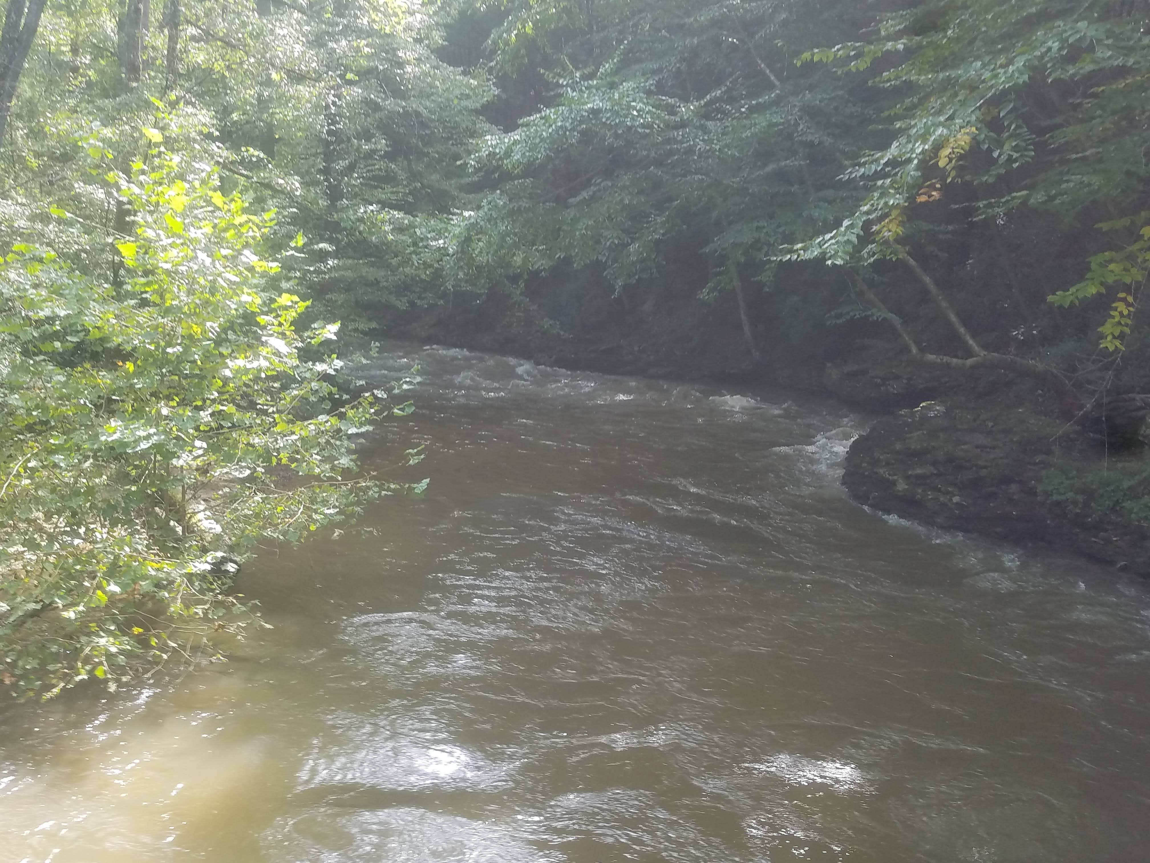 Camper-submitted photo at Drooly Bear Cabin near Orbisonia, PA