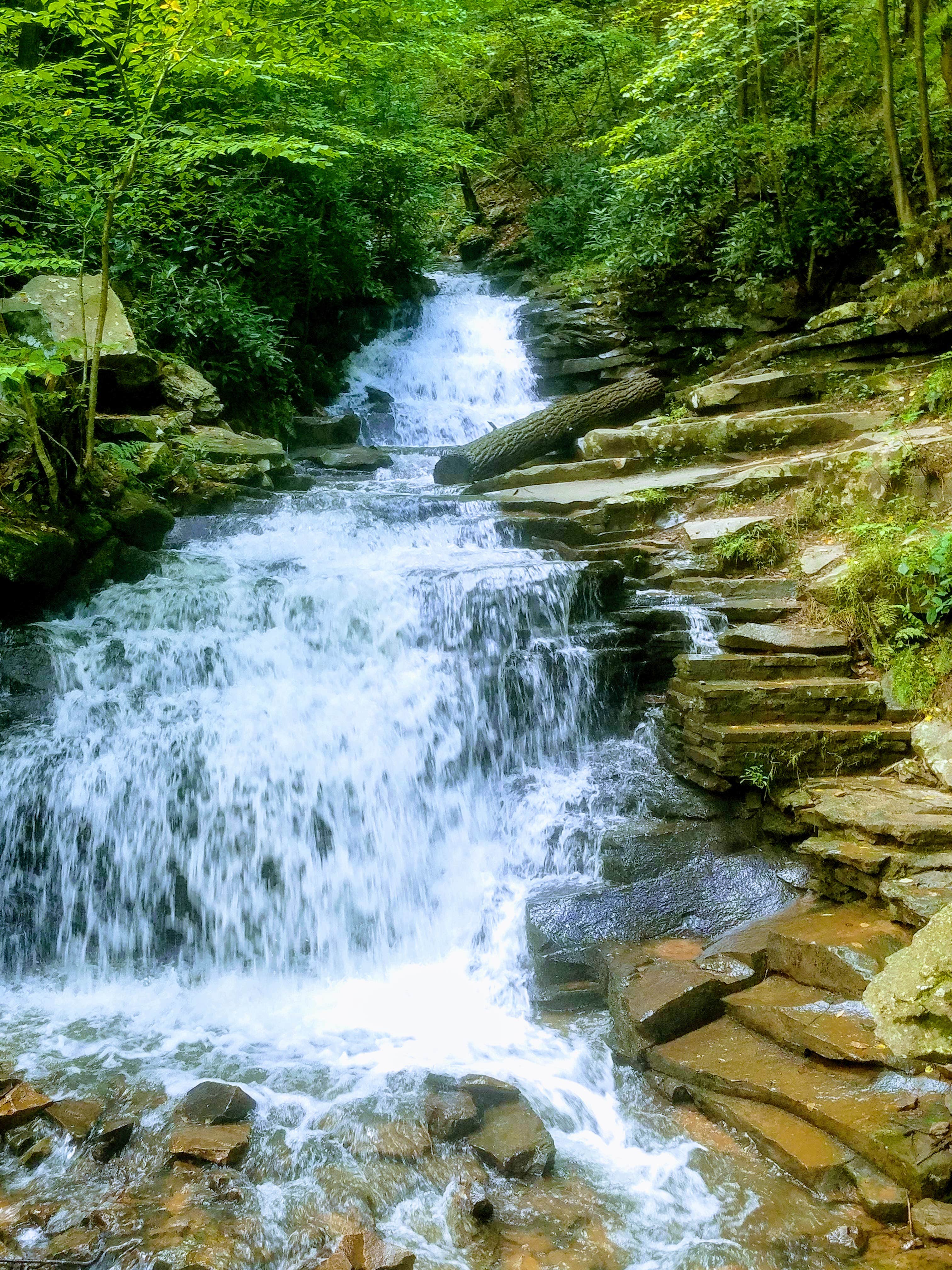 Camper-submitted photo at Drooly Bear Cabin near Orbisonia, PA