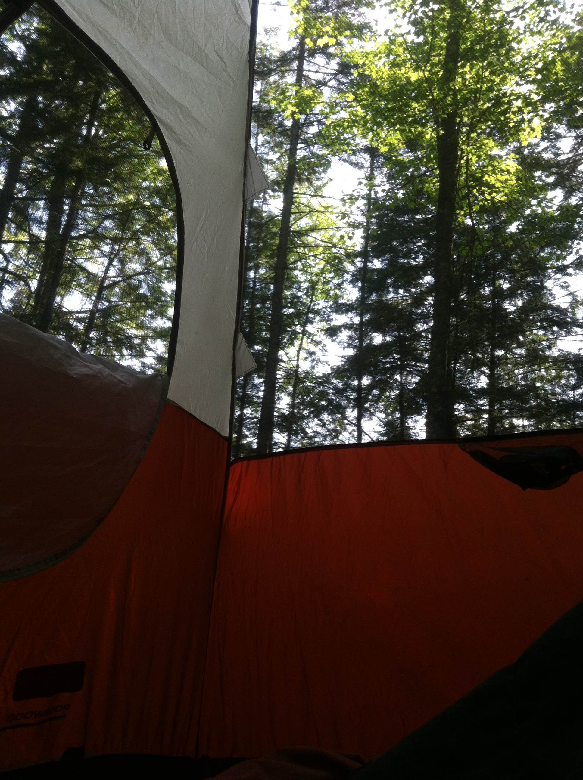 Camper submitted image from Rogers Rock Campground - 4