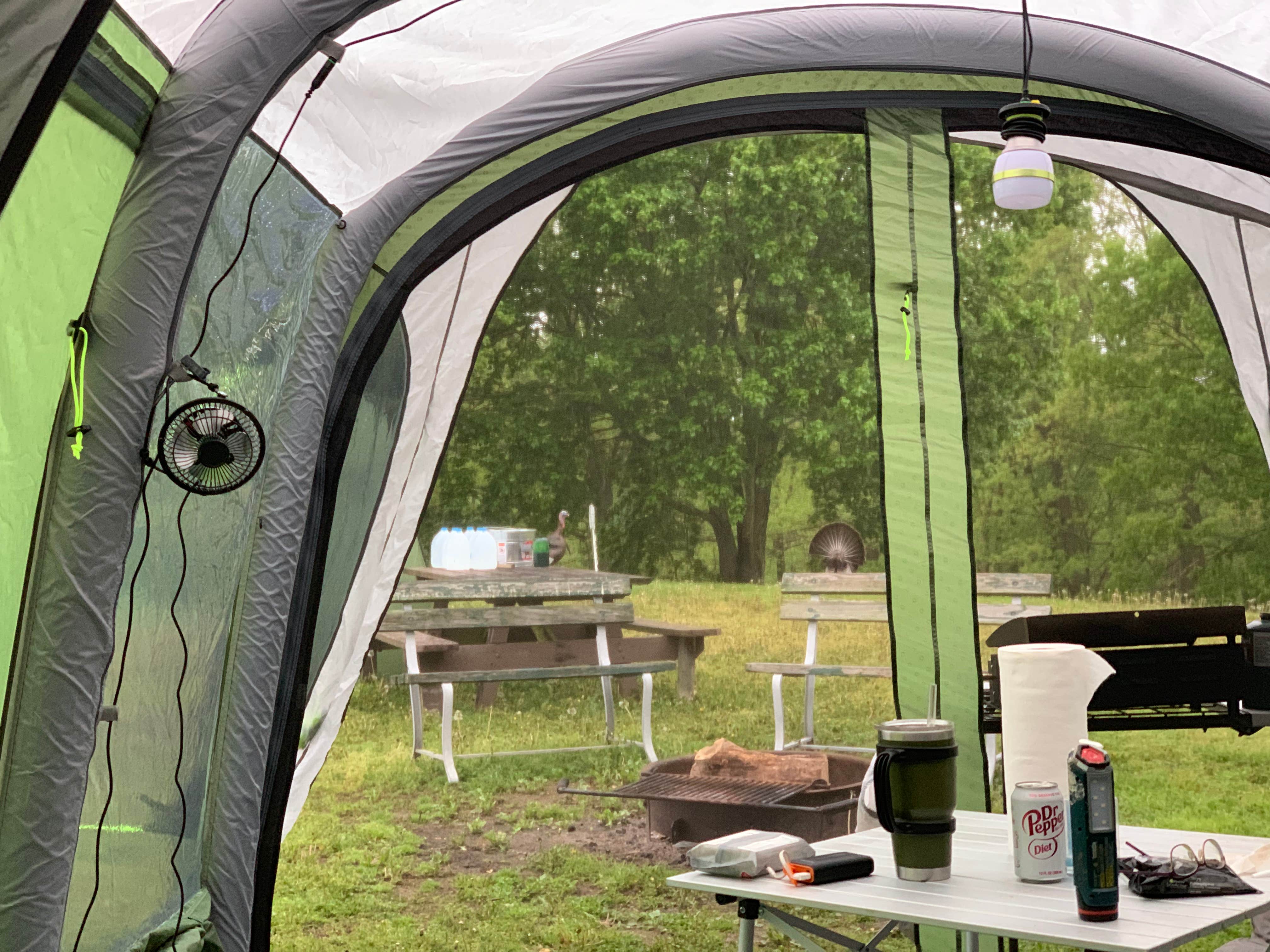 Camper submitted image from Grand Vue Park - 4