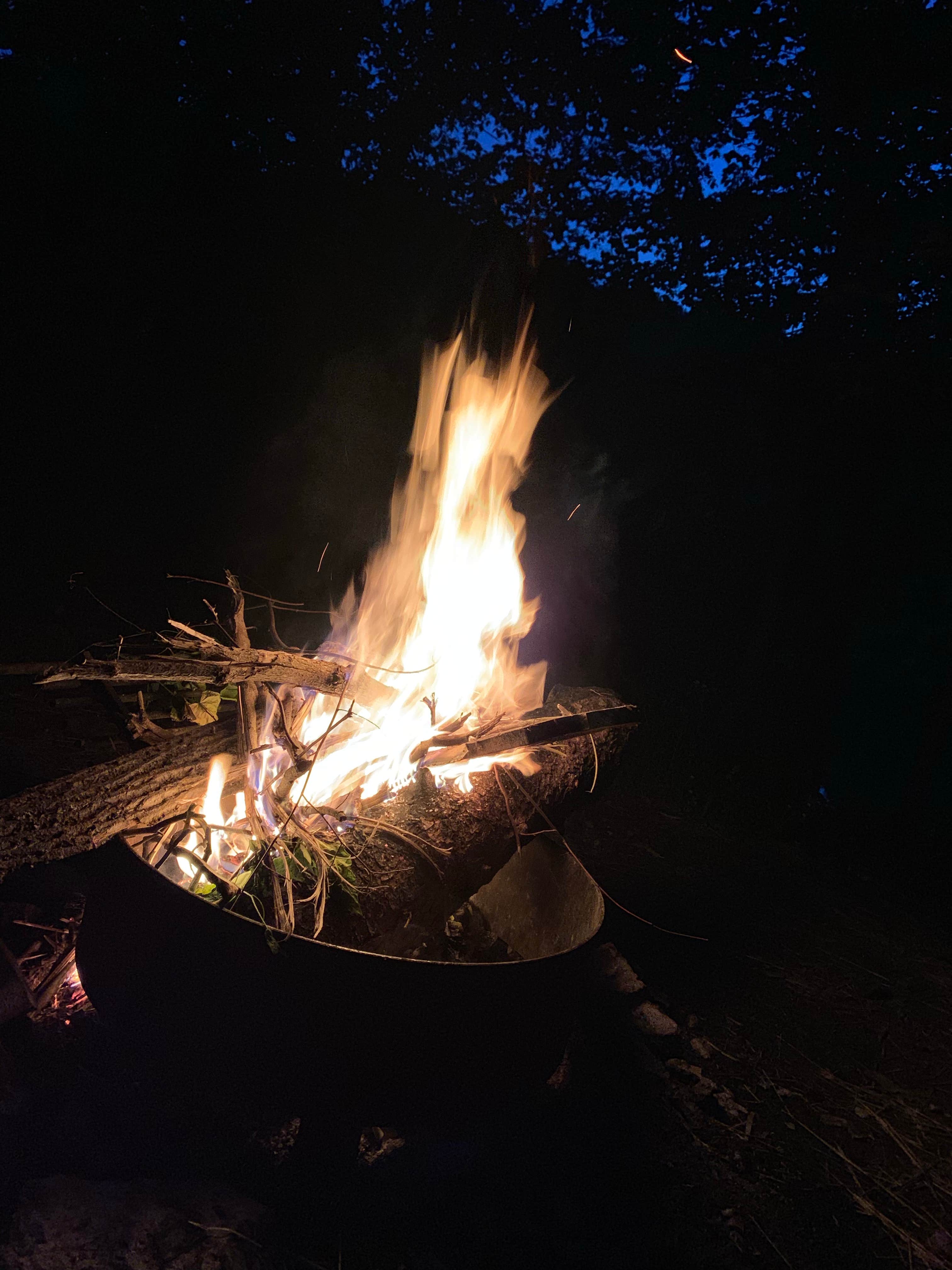 Camper submitted image from Sand Hollow (Campground C) — Jesse Owens State Park - 4