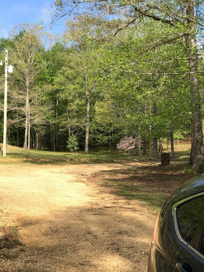 Jeff T.'s photo at controller works near Natural Bridge, AL