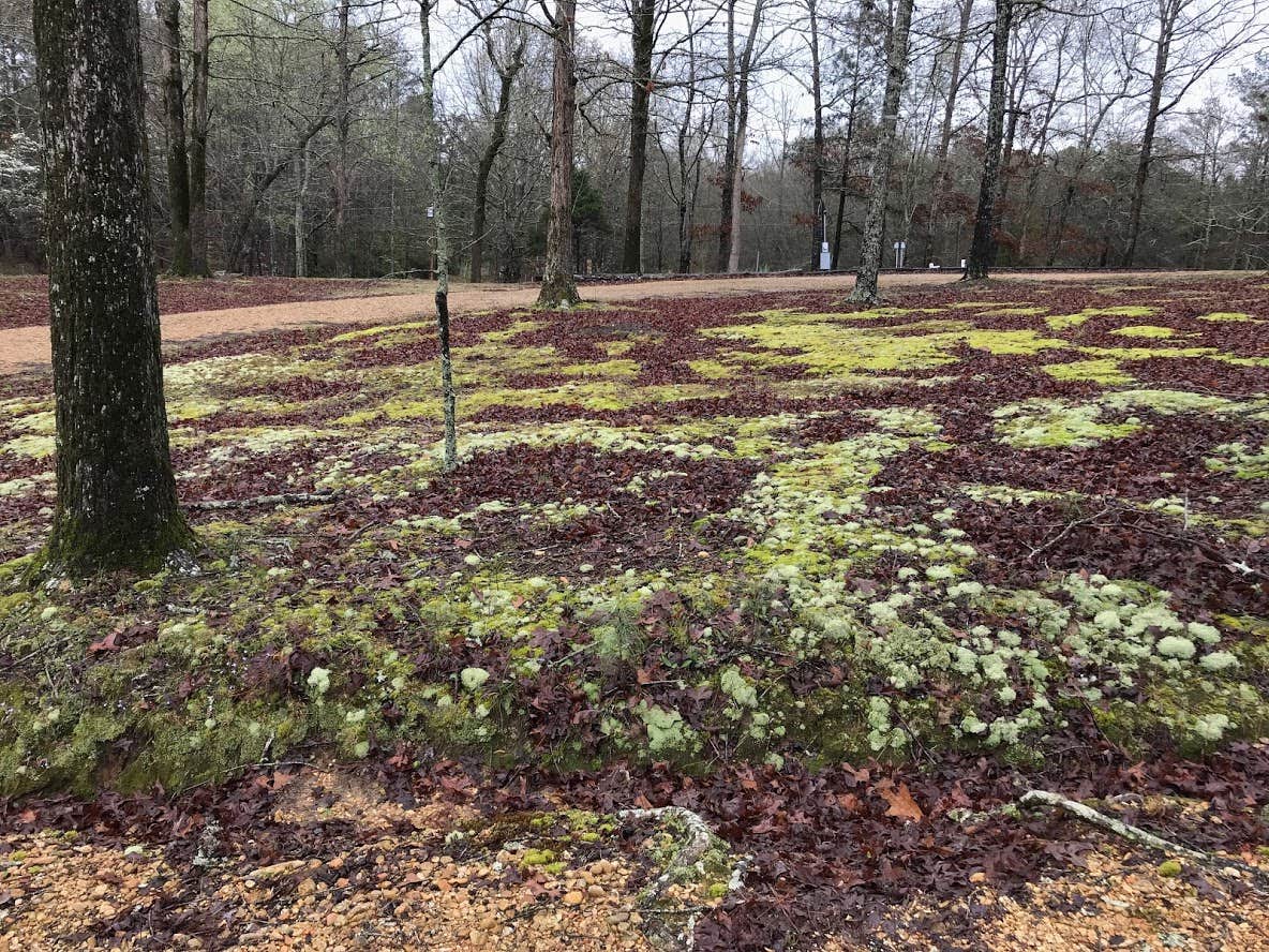 Camper-submitted photo at controller works near Fulton, MS