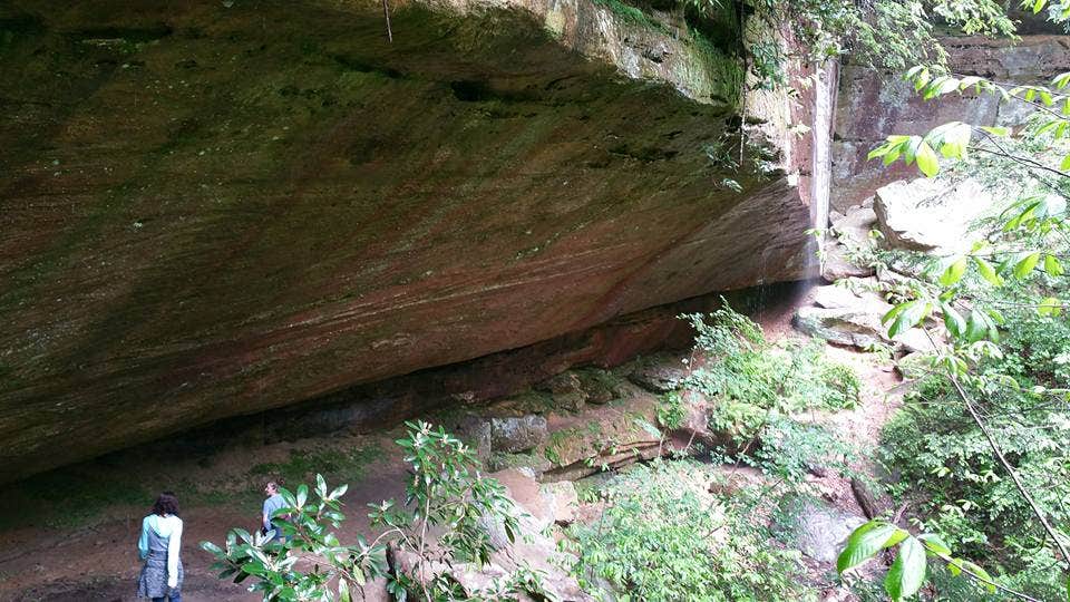Camper submitted image from Paintsville Lake State Park Campground - 2
