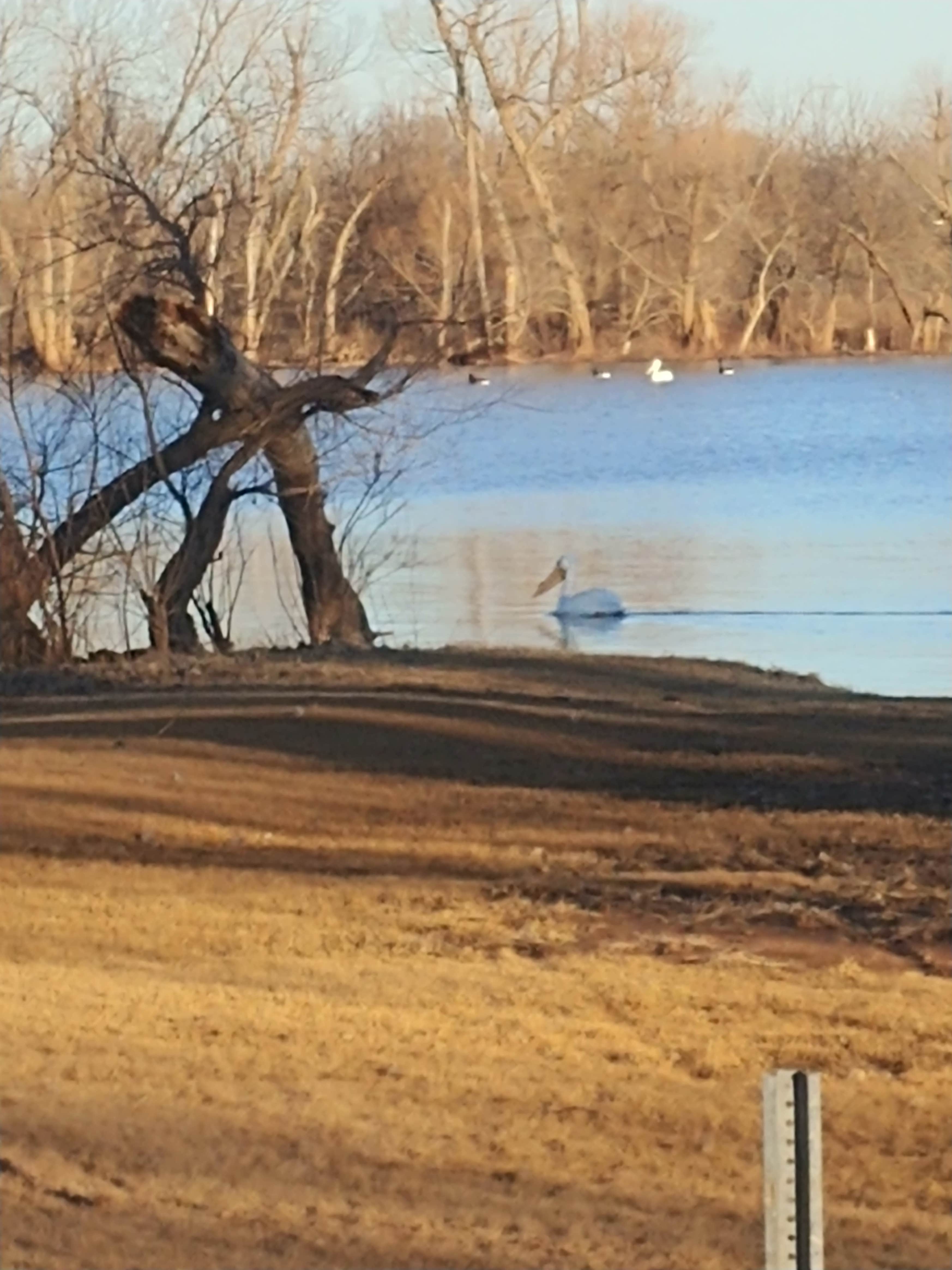 Camper-submitted photo at West Shore Camping Area — Cheney State Park near McPherson, KS