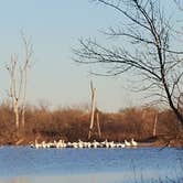 Review photo of West Shore - Cheney State Park by Deb L., January 14, 2019