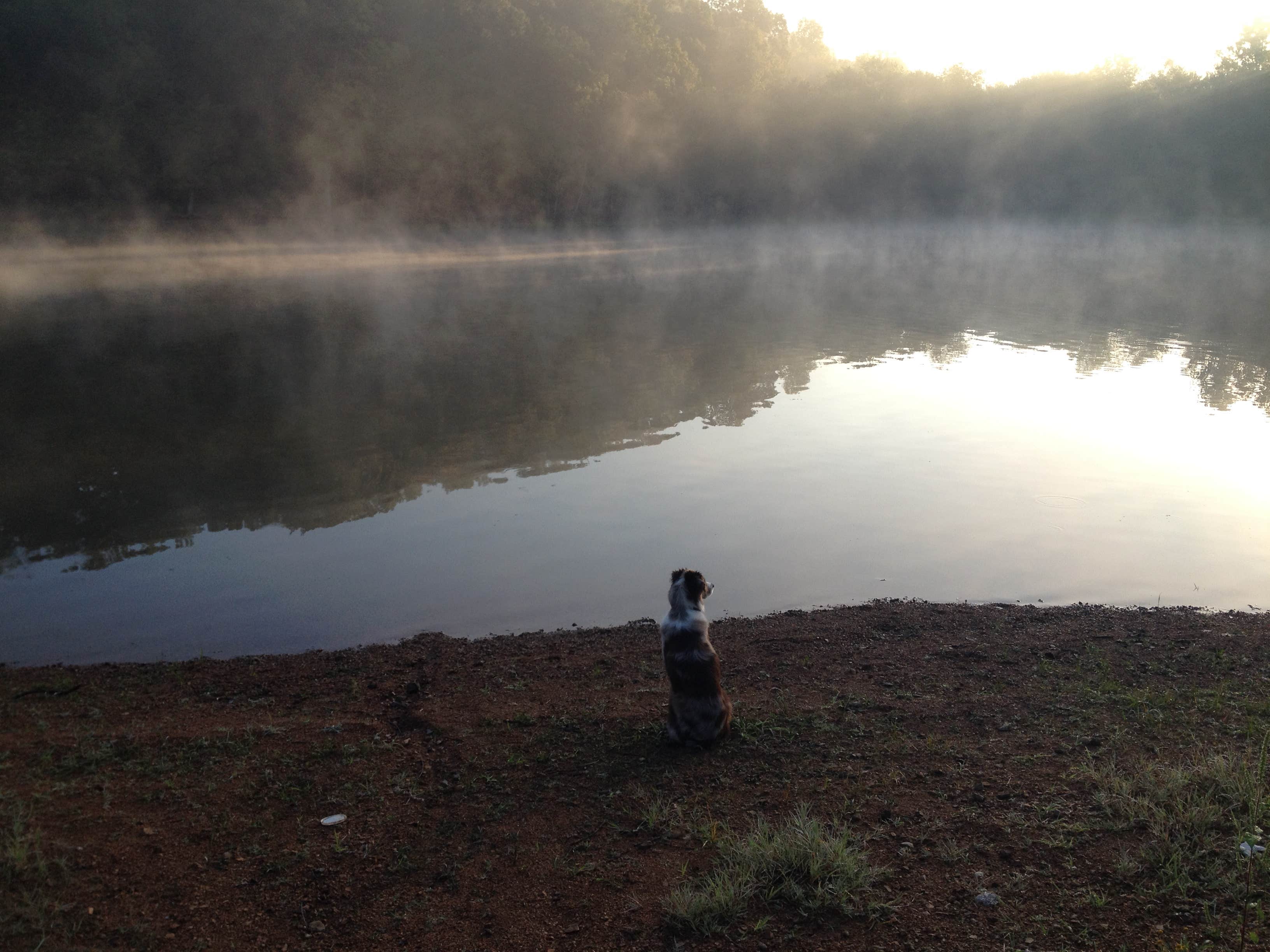 Camper submitted image from Old Boy Scout Campground - 2