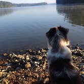 Review photo of Old Boy Scout Campground by Brad H., June 4, 2019