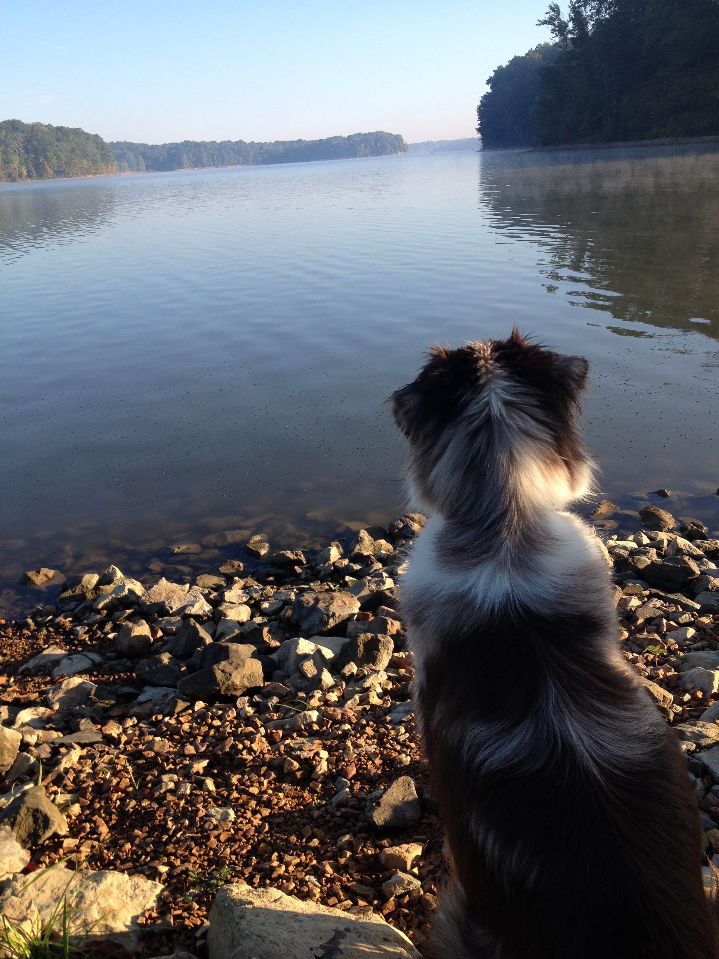 Camper submitted image from Old Boy Scout Campground - 4