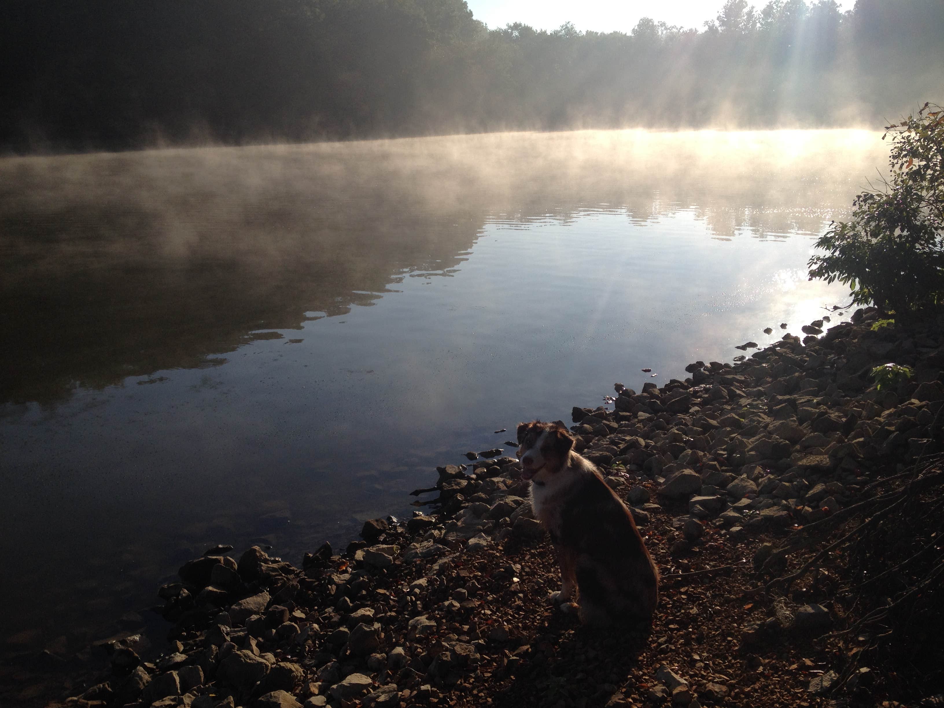 Camper submitted image from Old Boy Scout Campground - 4