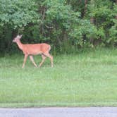Review photo of Sam Houston Jones State Park — Sam Houston Jones State Park District II by Mike V., August 22, 2016
