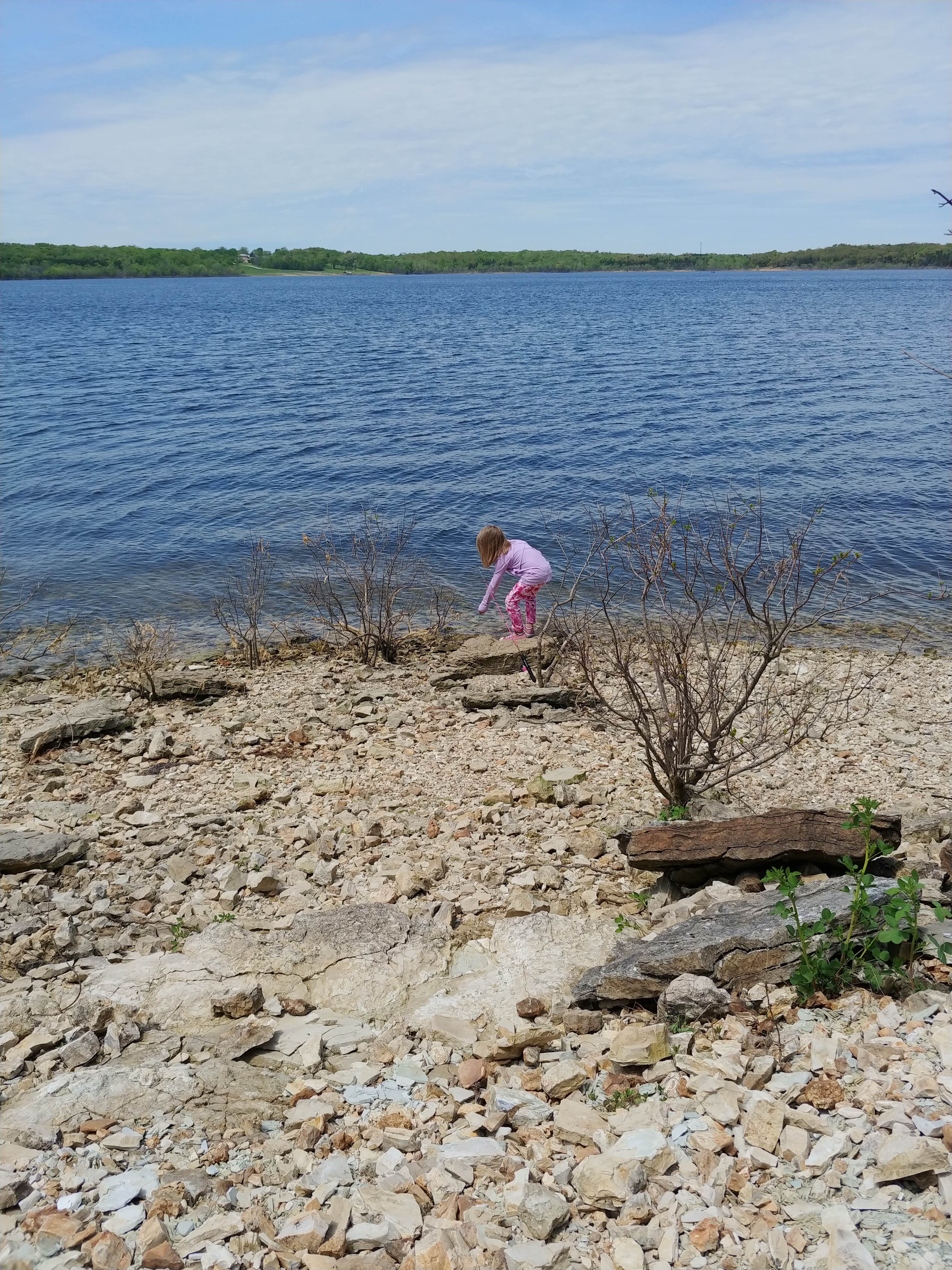 Camper-submitted photo at Pittsburg Park Campground near Pleasant Hope, MO